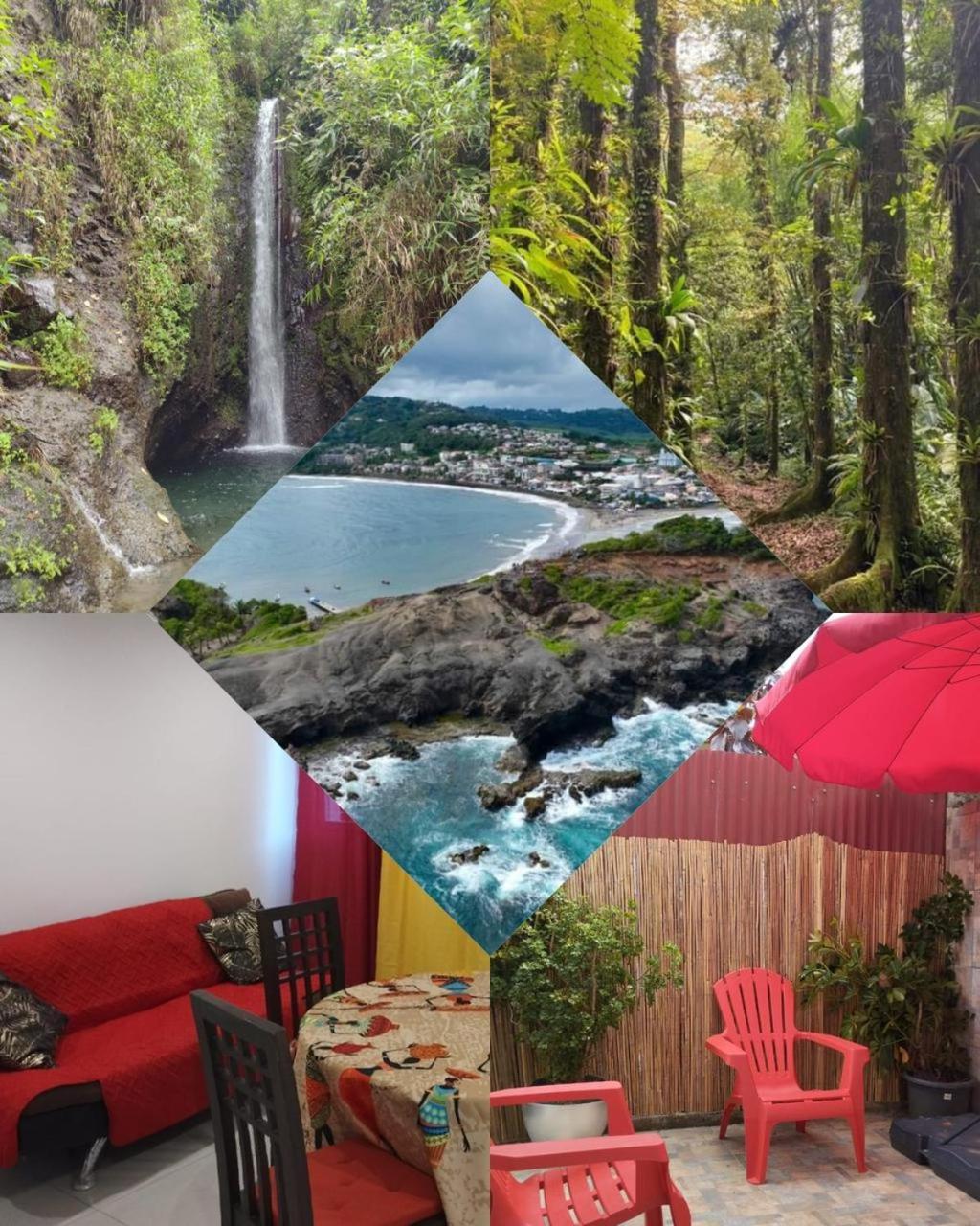 Entre Foret Et Mer Gros-Morne Esterno foto